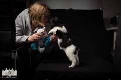 © all rights reserved - Photo by Lisanne Bakker