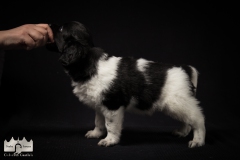 © all rights reserved - Photo by Lisanne Bakker