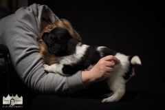 © all rights reserved - Photo by Lisanne Bakker