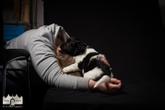 © all rights reserved - Photo by Lisanne Bakker