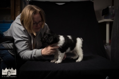 © all rights reserved - Photo by Lisanne Bakker