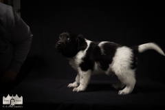 © all rights reserved - Photo by Lisanne Bakker