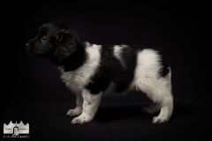 © all rights reserved - Photo by Lisanne Bakker