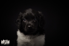 © all rights reserved - Photo by Lisanne Bakker