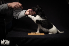 © all rights reserved - Photo by Lisanne Bakker