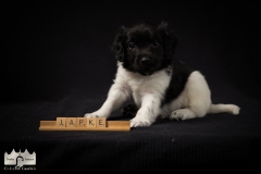 © all rights reserved - Photo by Lisanne Bakker