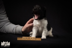 © all rights reserved - Photo by Lisanne Bakker