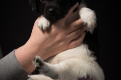 © all rights reserved - Photo by Lisanne Bakker