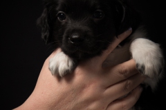 © all rights reserved - Photo by Lisanne Bakker