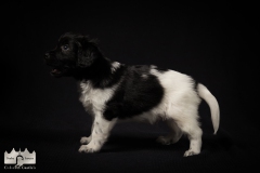 © all rights reserved - Photo by Lisanne Bakker