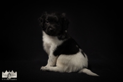 © all rights reserved - Photo by Lisanne Bakker