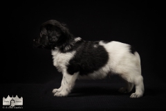 © all rights reserved - Photo by Lisanne Bakker