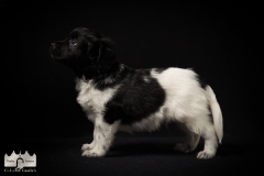 © all rights reserved - Photo by Lisanne Bakker