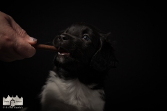 © all rights reserved - Photo by Lisanne Bakker