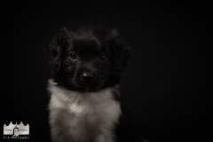 © all rights reserved - Photo by Lisanne Bakker