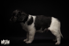 © all rights reserved - Photo by Lisanne Bakker
