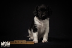 © all rights reserved - Photo by Lisanne Bakker