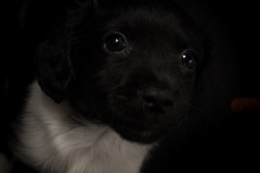 © all rights reserved - Photo by Lisanne Bakker