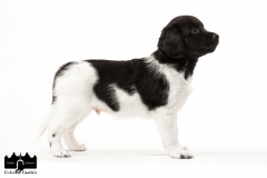 © all rights reserved - Photo by Angela van IJperen