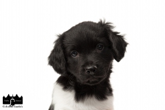 © all rights reserved - Photo by Angela van IJperen