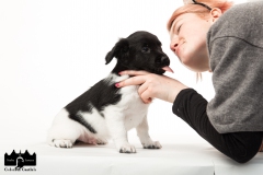 © all rights reserved - Photo by Angela van IJperen