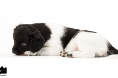 © all rights reserved - Photo by Angela van IJperen