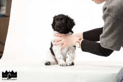 © all rights reserved - Photo by Angela van IJperen