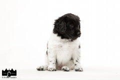 © all rights reserved - Photo by Angela van IJperen