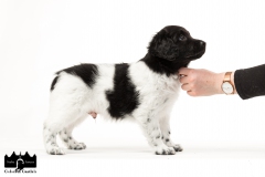 © all rights reserved - Photo by Angela van IJperen