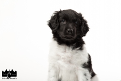 © all rights reserved - Photo by Angela van IJperen