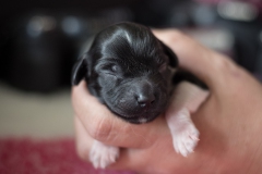 © all rights reserved - Photo by Lisanne Bakker