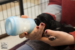 © all rights reserved - Photo by Lisanne Bakker