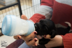 © all rights reserved - Photo by Lisanne Bakker