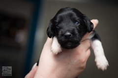 © all rights reserved - Photo by Lisanne Bakker