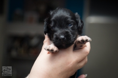 © all rights reserved - Photo by Lisanne Bakker