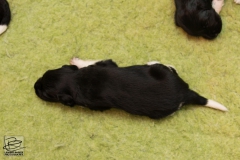 © all rights reserved - Photo by Lisanne Bakker