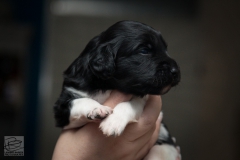 © all rights reserved - Photo by Lisanne Bakker