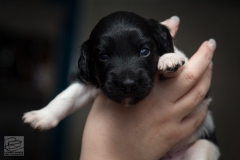 © all rights reserved - Photo by Lisanne Bakker