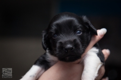 © all rights reserved - Photo by Lisanne Bakker