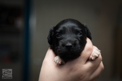 © all rights reserved - Photo by Lisanne Bakker