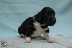 © all rights reserved - Photo by Lisanne Bakker