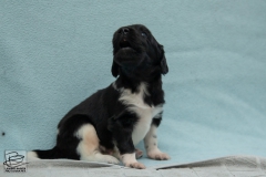 © all rights reserved - Photo by Lisanne Bakker