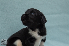 © all rights reserved - Photo by Lisanne Bakker