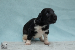 © all rights reserved - Photo by Lisanne Bakker