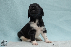 © all rights reserved - Photo by Lisanne Bakker