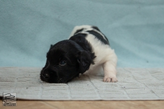 © all rights reserved - Photo by Lisanne Bakker