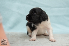 © all rights reserved - Photo by Lisanne Bakker