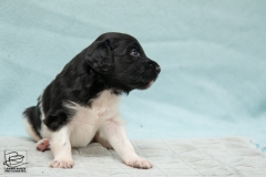 © all rights reserved - Photo by Lisanne Bakker