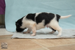 © all rights reserved - Photo by Lisanne Bakker