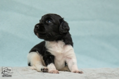 © all rights reserved - Photo by Lisanne Bakker